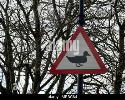 Segnaletica stradale avvertenza automobilisti di anatre che attraversano la strada, Inghilterra, Regno Unito Foto Stock