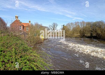 Il fiume Wey nel diluvio a Walsham weir Ripley Surrey in Inghilterra REGNO UNITO Foto Stock