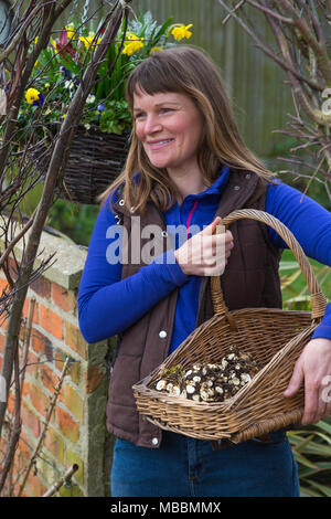 Giardiniere femmina portante un trug di raccolte di sedano-rapa 'Monarch' Foto Stock