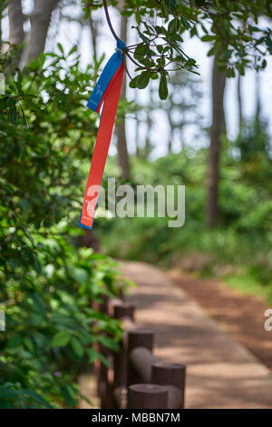 Jeju, Corea del Sud - 25 Maggio 2017: Jeju Olle segnavia. Olle trail è un famoso a lunga distanza percorso di piede sull isola di Jeju. I percorsi sono per la maggior parte seguente t Foto Stock