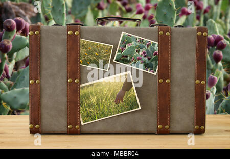 Immagine di un vecchio vintage bagagli con la natura delle foto sui cactus sfondo vegetale Foto Stock