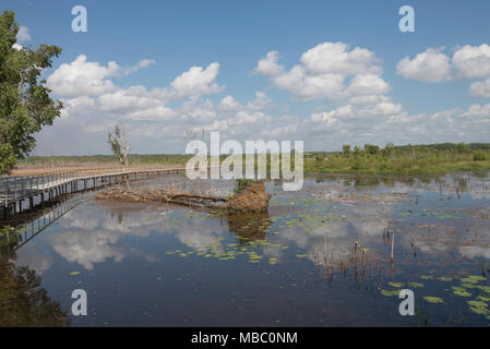 Fogg Dam Conservation Reserve, Territorio del Nord, l'Australia. Originariamente creato per il Humpty Doo Progetto Riso, ora un importante riserva naturale. Foto Stock