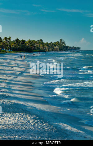 Passeggiata mattutina sulla spiaggia della costa del Golfo della Florida vicino al Molo di Napoli, Naples, Florida, Stati Uniti d'America Foto Stock