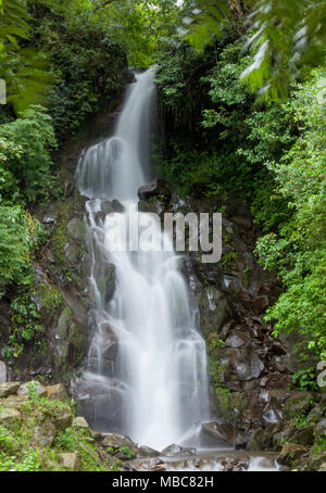 San Ramon cade, una cascata sopra Boquete, Panama, dopo una pioggia pesante Foto Stock