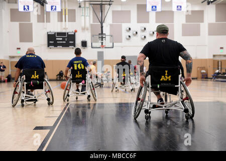 Il Jacksonville, Florida (feb. 19, 2018) Active Duty i marinai e i veterani del treno in basket in carrozzella prima del 2018 team prove della Marina presso la stazione navale (NAVSTA) Mayport la palestra. Navy feriti Warrior-Safe Harbour e NAVSTA Mayport ospitano le prove in cui gli atleti potranno beneficiare in otto adaptive sport: tiro con l'arco, pista e sul campo, ciclismo, basket in carrozzella, tiro, seduta a pallavolo e nuoto. I migliori atleti saranno riempire 40 macchie competitivo e cinque punti alternativi per il Team Marina presso l 2018 del Dipartimento della Difesa giochi guerriero. (U.S. Navy Foto Stock