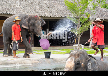 Elephant show al Giardino di Rose, Nakhon Pathom, Bangkok Foto Stock