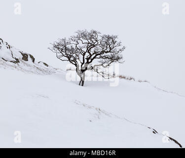 Il Vallo di Adriano - Walltown dirupi in inverno, guardando verso est Foto Stock