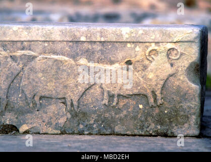 Malta. Bassorilievo incisioni di animali nel tempio preistorico di Tarxien a. c.3,500 BC Foto Stock