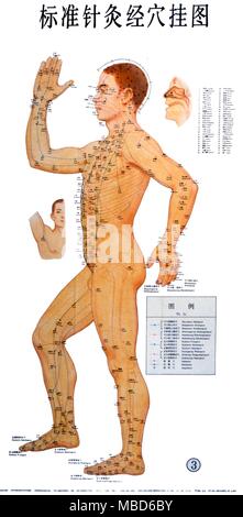 Agopuntura - Grafico - agopuntura cinese, grafico che mostra le linee di guarigione sul lato sinistro del corpo. ©2004 Charles Walker / Foto Stock