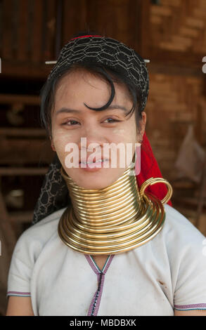 Un Padaung 'lungo collo' donna, Chiang Mai, Thailandia. Foto Stock