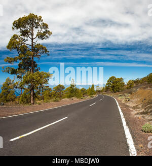 Strada asfaltata nel deserto vulcanico Tenerife, Canarie Foto Stock