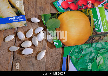 Orto sementi in pacchetti su legno Potting Shed banco, Norfolk, Inghilterra Foto Stock