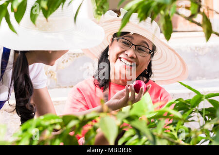 Due donne asiatiche vendemmia insieme organico di frutti rossi Foto Stock