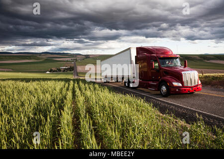 Commerciale di guida carrello se i campi di grano di Eastern Washington, Stati Uniti d'America al tramonto. Foto Stock