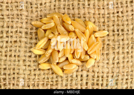 Piccole quantità di grano su un letto di sacco Foto Stock