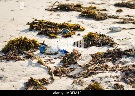 Rifiuti di plastica si trova lavato fino sulla riva di una spiaggia di sabbia bianca Foto Stock