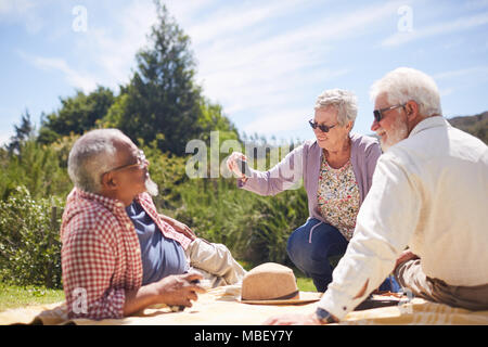 Active senior amici utilizzando la fotocamera del telefono, godendo di picnic estivo Foto Stock