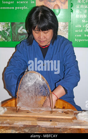 Shanghai, Cina, Asia, fabbrica di tappeti, Lavaggio SETA Bozzoli di bachi da seta Foto Stock