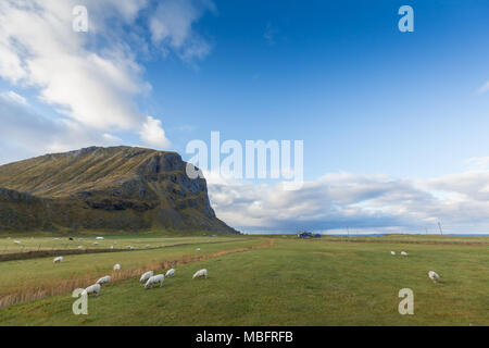 Uttakleivin rannalla Lofooteilla Norjassa. Foto Stock