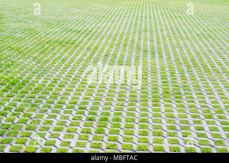 Grandi vuoti eco-friendly parcheggio di cellule di calcestruzzo e tappeto erboso verde erba in una città moderna Foto Stock