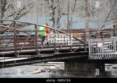 Escursionista solitario sulla Appalachian Trail, Nantahala Forest, NC Foto Stock