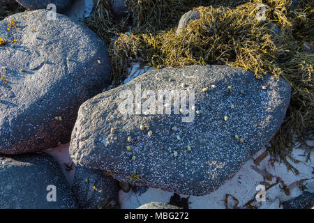 Uttakleivin rannalla Lofooteilla Norjassa. Foto Stock
