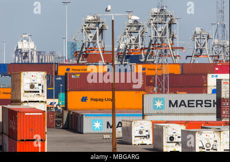 Il porto di Rotterdam, Paesi Bassi, deep sea port Maasvlakte 2, su un paese artificiale area di fronte alla costa originale, contenitore di stoccaggio, Foto Stock