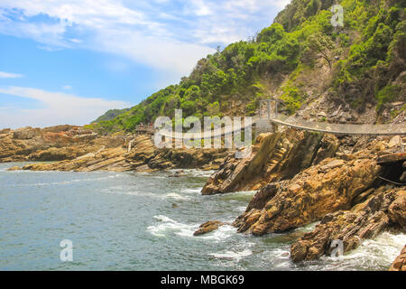 Ponti sospesi durante il percorso di trekking oltre le tempeste Foce nel Tsitsikamma National Park, Eastern Cape, vicino a Plettenberg Bay in Sud Africa. Famosa destinazione turistica lungo la Garden Route. Foto Stock