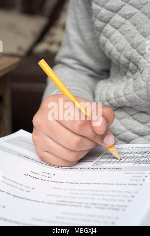 Ragazzo di 10 anni di revisione in lingua inglese a casa Foto Stock