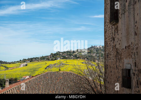 Vista di una città di Cáceres dal centro storico Foto Stock