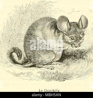 "Le Jardin des plantes : descrizione" (1851) Foto Stock