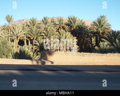 Strada asfaltata a paesaggi di oasi di verde le palme in Marocco centrale nel vecchio villaggio di Oulad vicino a Zagora Città, Montagne Atlas cielo blu chiaro nel 2017 Foto Stock