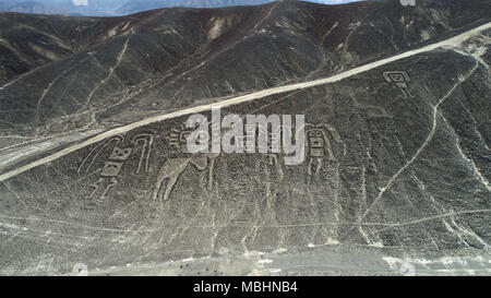 09 aprile 2018, Perù, palpa: una fotografia aerea di figure geometriche e linee, come pure le rappresentazioni di animali e piante. Il recentemente scoperto geoglyphs sono situati nella provincia peruviana di Palpa che confina Nazca. Secondo il "National Geographic", le linee sono state create dai Paracas e culture Topara tra il 500 A.C. e il 200 D.C. Foto: Genry Bautista/dpa Foto Stock