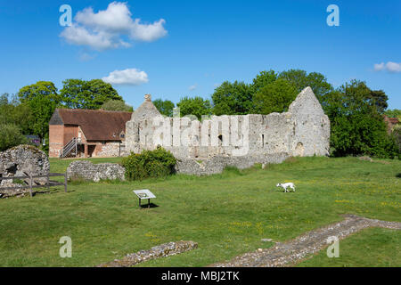 Il vescovo di Waltham Palace rovina, Vescovo di Waltham, Hampshire, Inghilterra, Regno Unito Foto Stock