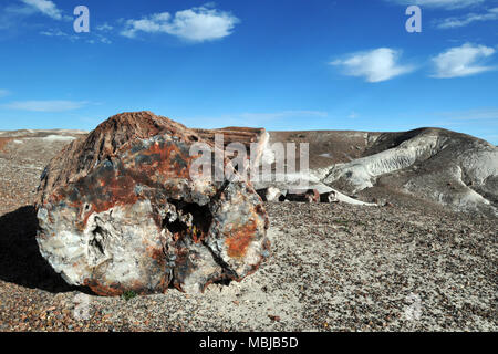 Pezzi colorati di pietrificati (fossili) legno punteggiano il paesaggio arido al Parco Nazionale della Foresta Pietrificata in Arizona nord-orientale. Foto Stock