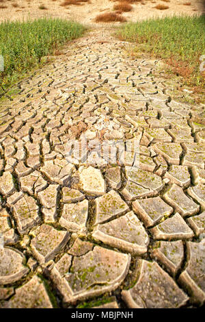 Il Lac de Guerlédan deve essere scaricata tra aprile e novembre 2015, Côtes-d'Armor, Brittany, Francia. Foto Stock