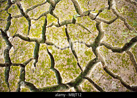 Il Lac de Guerlédan deve essere scaricata tra aprile e novembre 2015, Côtes-d'Armor, Brittany, Francia. Foto Stock