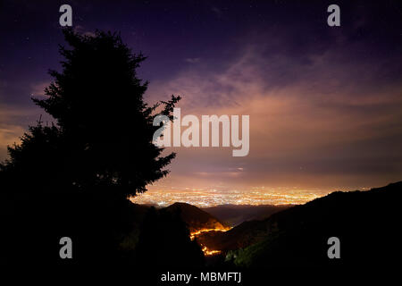 Paesaggio notturno della città luci e albero di silhouette a cielo nuvoloso con stelle ad Almaty in Kazakistan Foto Stock