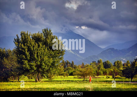 Donna in abito rosso a piedi grande albero nel parco con nuvoloso montagne in Almaty, Kazakhstan Foto Stock