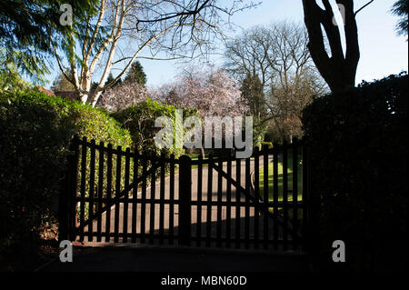 Gancio Heath, Surrey, England, Regno Unito Foto Stock