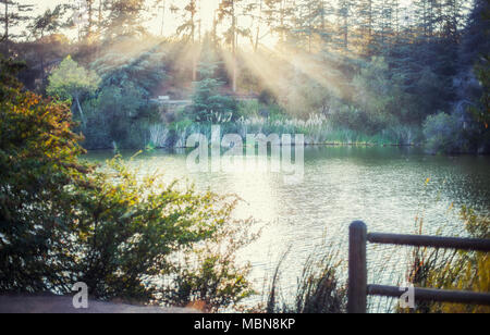 Ipnotizzante paesaggio di campagna: Franklin Canyon Lake riempito con la luce del sole dorato, Beverly Hills, in California Foto Stock