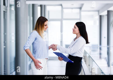 Due belle womens facendo handshake nei moderni interni aziendali Foto Stock