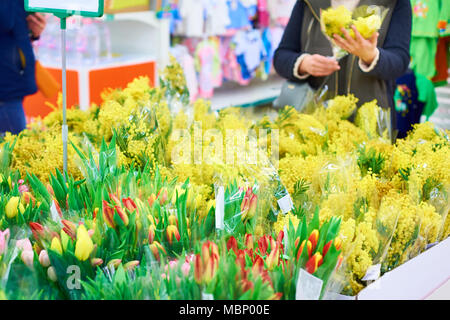 Donna compri fiori tulipani e mimosa in negozio Foto Stock