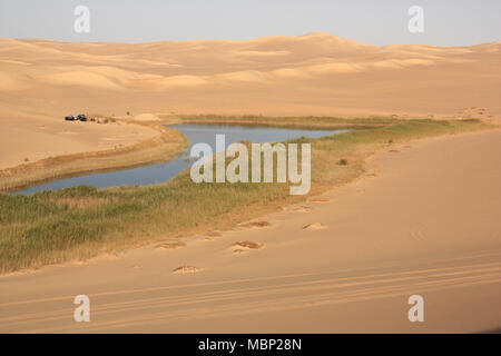 Una piccola di acqua fresca oasi circondata da dune di sabbia nel deserto del Sahara vicino a Siwa Foto Stock