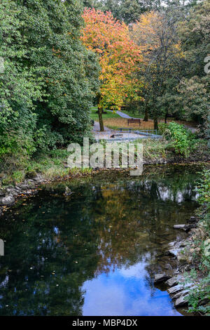 I colori autunnali sulla banca del fiume di Rothay nel villaggio di Grasmere nel Distretto del Lago, Cumbria, Inghilterra Foto Stock