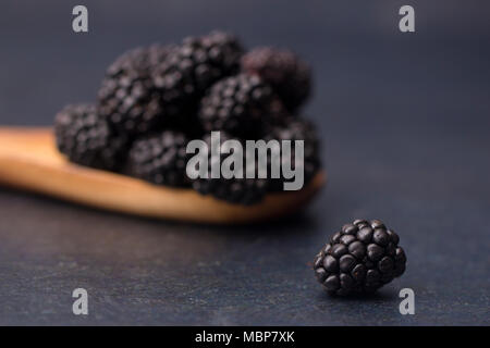 Fresh Plump more su un bancone di ardesia Foto Stock