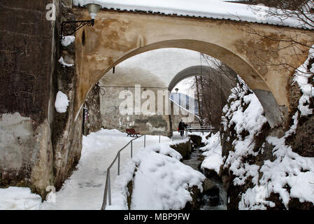 Innesto bastion brasov ROMANIA Foto Stock