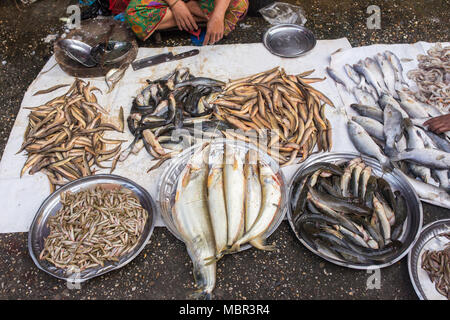 Il mercato locale del pesce a Yangon, Myanmar Foto Stock