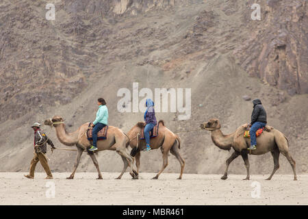 Ladakh, India - 29 Giugno 2017: Indiano turisti cavalcare i cammelli durante il safari in Valle di Nubra in Ladakh, India Foto Stock