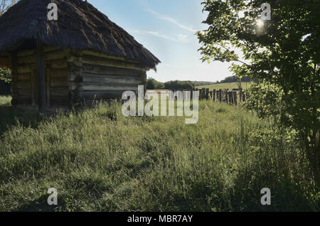 Una piccola casa di grandi tronchi di legno con un tetto di paglia, su un prato tra l'erba alta, cielo blu chiaro. Foto in toni di grigio Foto Stock